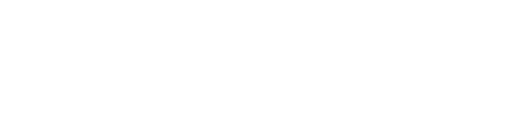 Data Scale